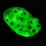 15-198 GLOW IN THE DARK GREEN SPIDER PRINT 15mm Silicone Bead