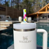 Multicolor Checkered 40oz Plastic Straw