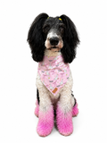 PINK Jesus Loves You, Silly Goose Dog Bandana EXCLUSIVE