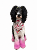 Pink Leopard Bows Dog Bandana EXCLUSIVE