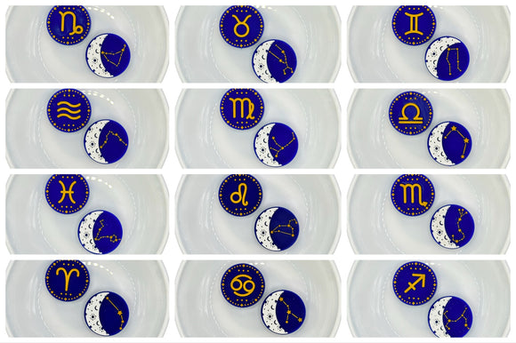 Bundle of 12 ZODIAC (1 of each sign) Silicone Buddy EXCLUSIVE